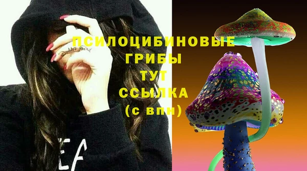 амф Аркадак