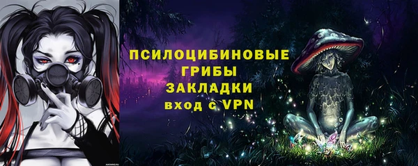 спайс Арсеньев
