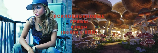 спайс Арсеньев