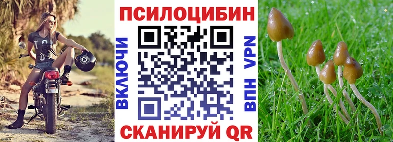 ссылка на мегу сайт  закладка  Лагань  Псилоцибиновые грибы MAGIC MUSHROOMS 